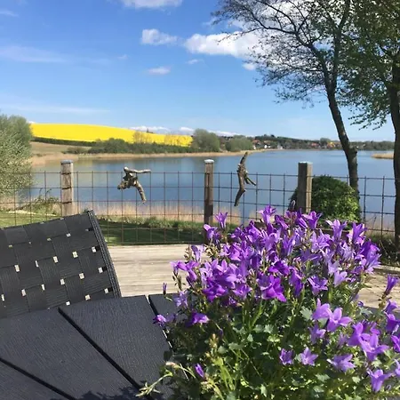 Bed & Breakfast Bogebjerggard