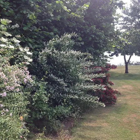 Bed & Breakfast Bogebjerggard