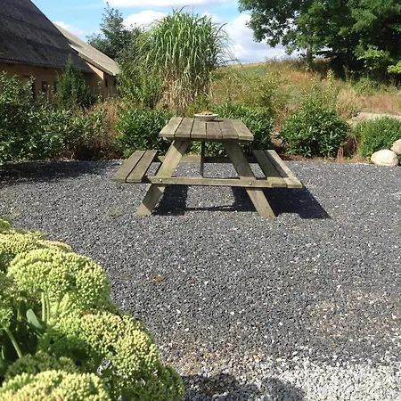 Bed & Breakfast Bogebjerggard
