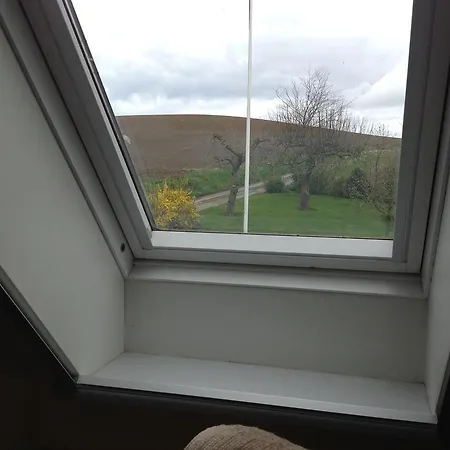 Bogebjerggard Bed & Breakfast *