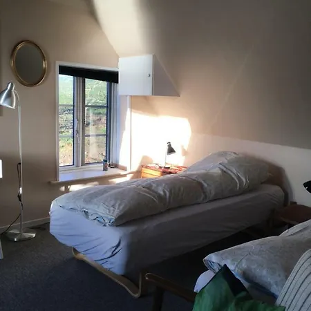 Bed & Breakfast Bogebjerggard *